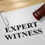 expert witness