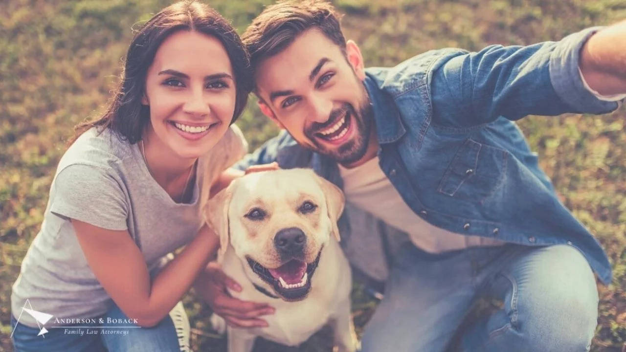 pet nuptial agreement lawyers chicago