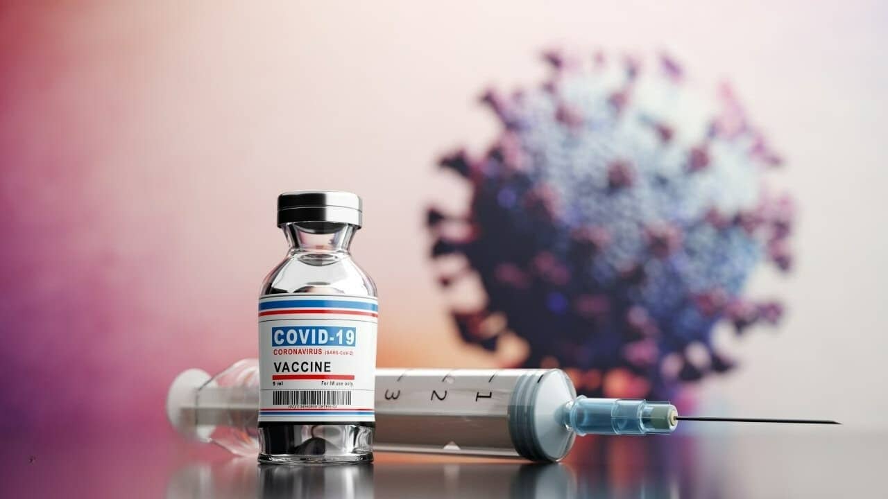 custody disputes over covid-19 vaccine